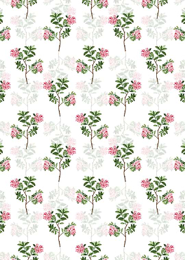 Hairy Alpenrose Pattern