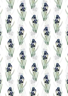 Floral German Iris Pattern