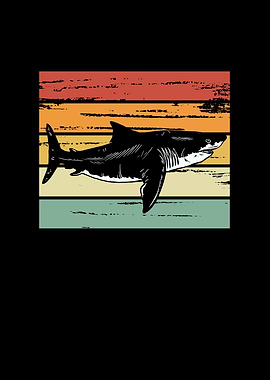 Shark retro color