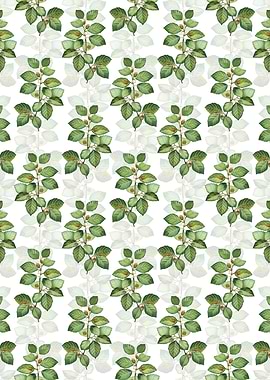 European Beech Pattern