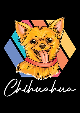 Pet Dog Lovers Dog Owner