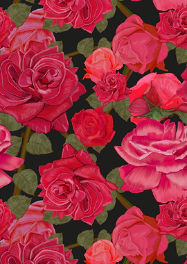 Hand drawn red roses