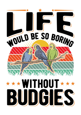 Budgie Gift Parakeet