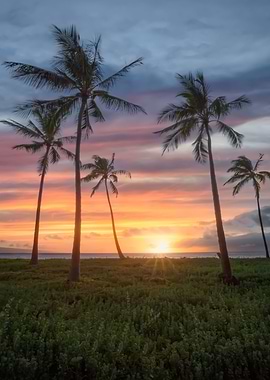 Maui Sunset
