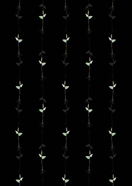 Floral Mayanthemum Pattern