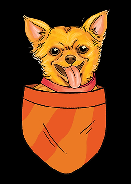 Pet Dog Lovers Dog Owner