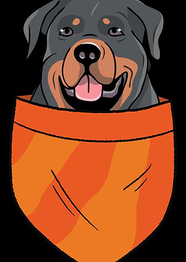 Pet Dog Lovers Dog Owner