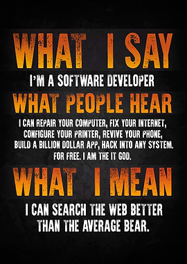 Software Developer