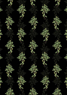 Evergreen Oak Pattern