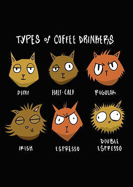 Funny coffee cats