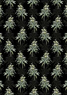 Floral Pleomele Pattern