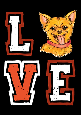 Pet Dog Lovers Dog Owner