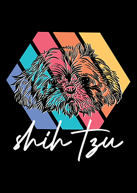 Pet Dog Lovers Dog Owner