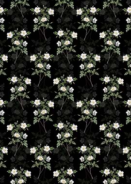 Black White Candolles Rose