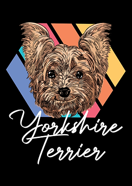 Pet Dog Lovers Dog Owner