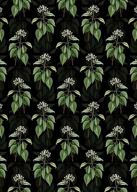 Pagoda Dogwood Pattern