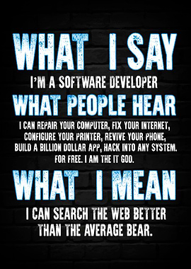 Software Developer