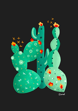Cactus