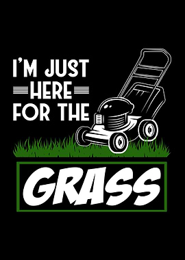 Grass Mowing Lawn Care