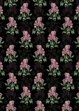 Chinese Lilac Pattern