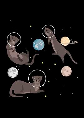 Sea Otters Galaxy Otter