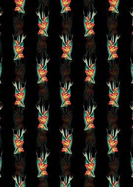 Parrot Gladiole Flower