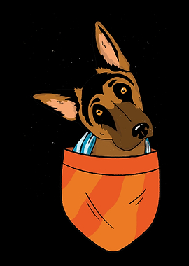 Pet Dog Lovers Dog Owner