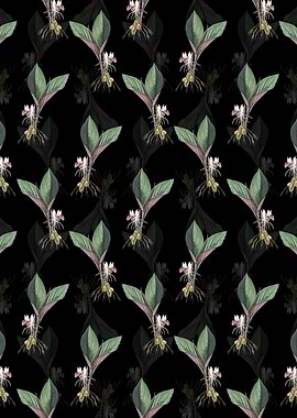 Koemferia Longa Pattern