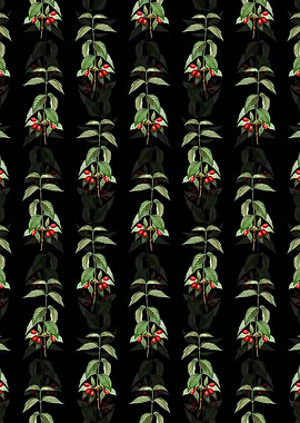 Cornelian Cherry Pattern