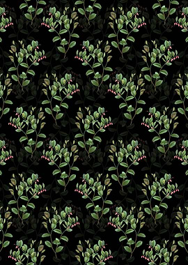 Andromeda Axillaris Bloom