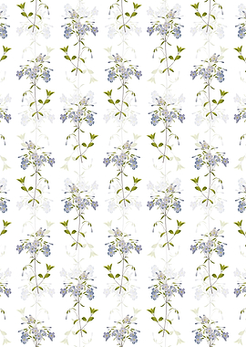 White Floral Phlox Pattern