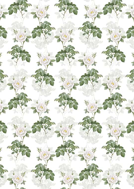 Floral White Rose Pattern
