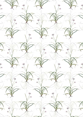 Floral Spiderwort Pattern
