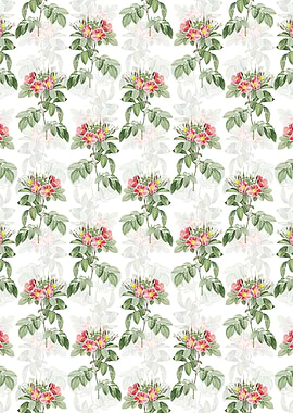 White Pasture Rose Pattern
