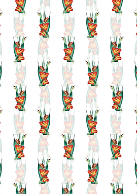 Parrot Gladiole Flower