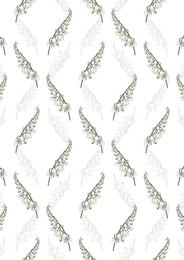 White Giant Cabuya Pattern