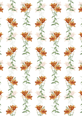 White Orange Bulbous Lily