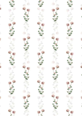 Crucianella Flower Branch