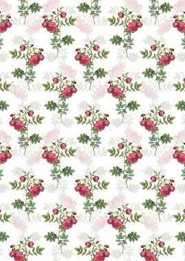 White Turnip Roses Pattern