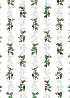 Morocco Hawthorn Flower