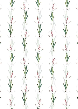 Ixia Scillaris Pattern