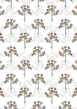 White Lilac Senecio Flower