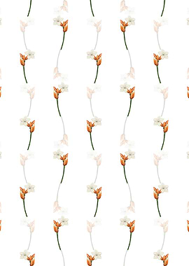 Brasilian Red Coat Branch