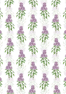 Persian Lilac Pattern