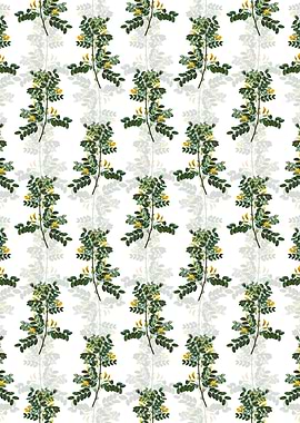 Siberian Pea Tree Pattern