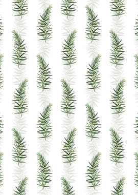 Whorled Solomons Seal