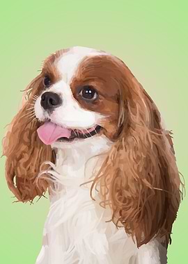 Cavalier King Charles