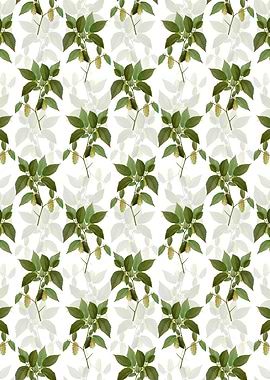 White American Hophornbeam