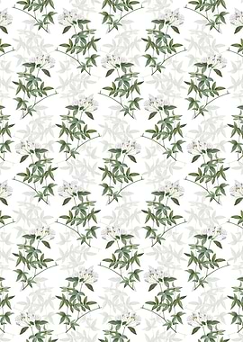 Lady Banks Rose Pattern