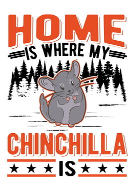 Chinchilla Lover
